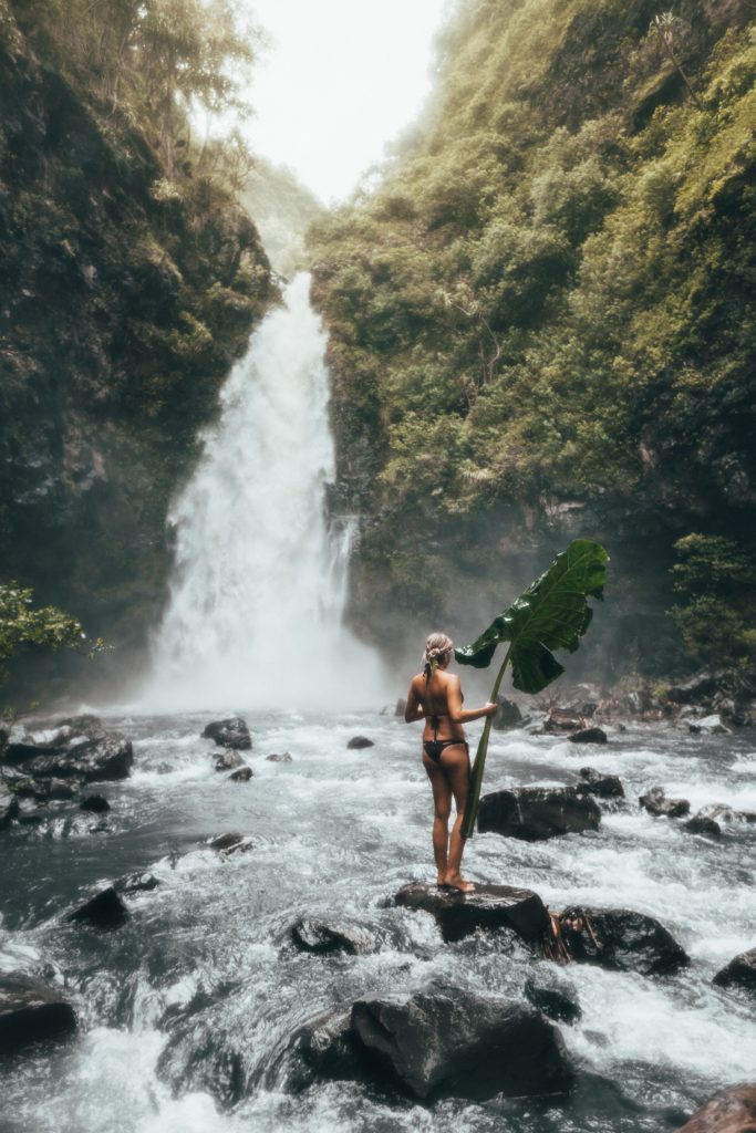 Katie holding a huge tropical leaf near a Maui Waterfall