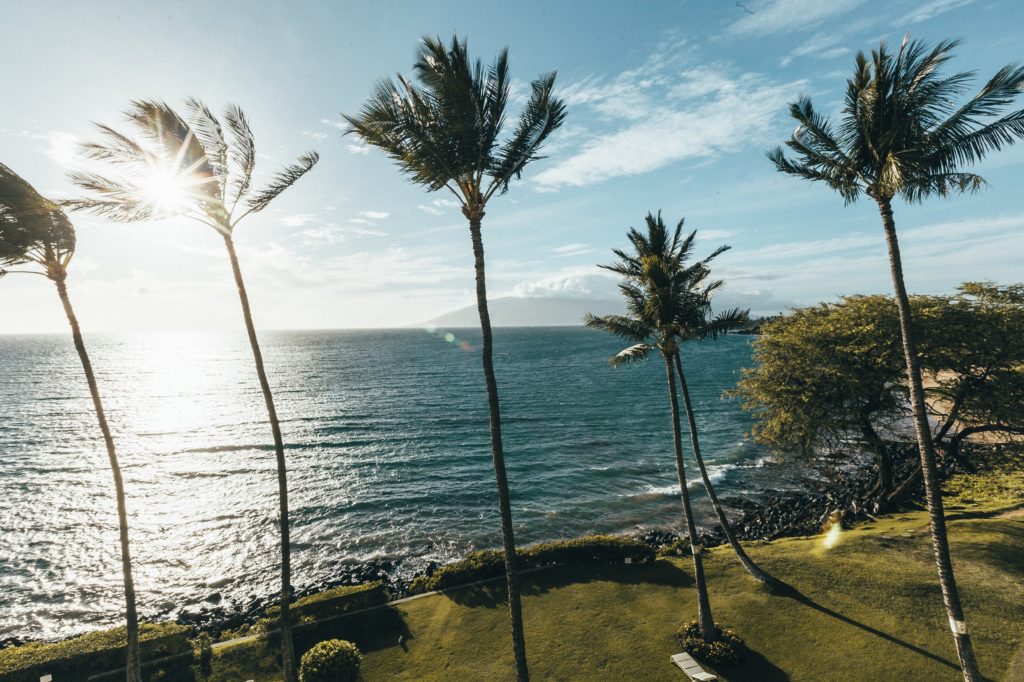 Maui Beachisde 1 Lanai palm tree and ocean view
