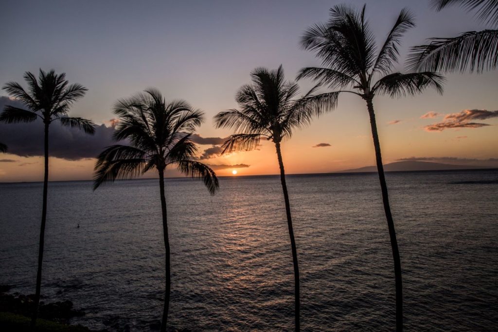 Maui Beachside 1 Sunset Lanai palm tree and ocean view.