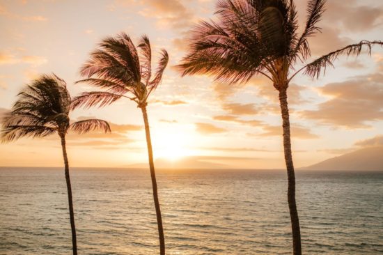 Sunset view from Maui Beachside with palm trees, west Maui and the Pacific ocean in Maui, HI
