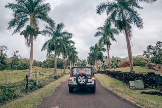 Jeep traveling the Road to Hana with palm trees in Maui, HI.
